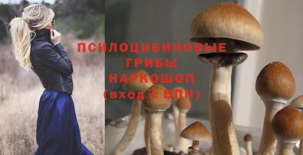 кристаллы Коряжма