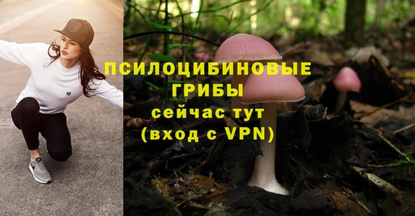 кристаллы Коряжма
